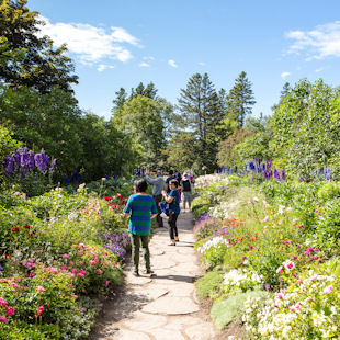 Path through the flowers in the Reford Gardens